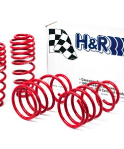 Alternative view of H&R 05-09 Ford Mustang/Convertible/GT/Shelby GT/Shelby GT-H V6/V8 Race Spring