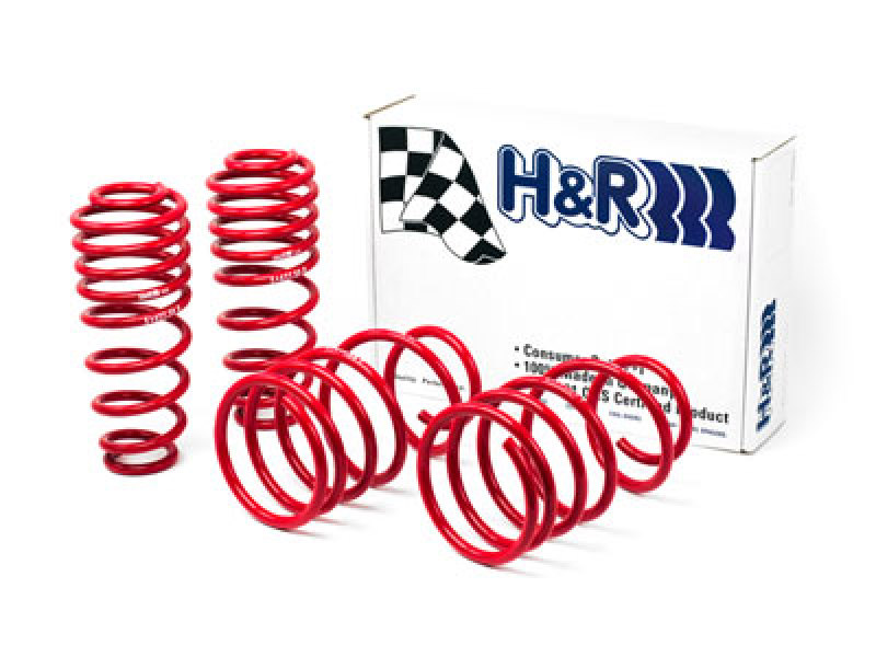 H&R 05-09 Ford Mustang/Convertible/GT/Shelby GT/Shelby GT-H V6/V8 Race Spring - Image 2