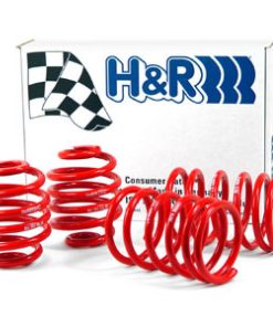 Alternative view of H&R 85-91 BMW 325e/325i/325is E30 Race Spring (Non Cabrio/Tuner Fitment)