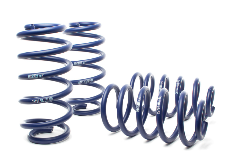 H&R 02-03 Audi S6 (AWD) Sport Spring - Image 2