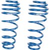 ROUSH 2005-2014 Ford Mustang Stage 2/3 Rear Coil Springs (For Use w/ 401296)