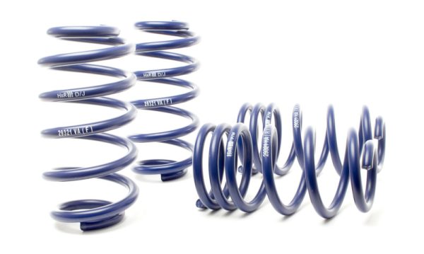 Alternative view of H&R 02-05 Volkswagen Passat W8 Sedan/Wagon Sport Spring