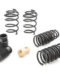 Eibach Pro-Kit for 09+ Hyundai Genesis Coupe