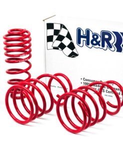 H&R 05-09 Ford Mustang/Convertible/GT/Shelby GT/Shelby GT-H V6/V8 Race Spring