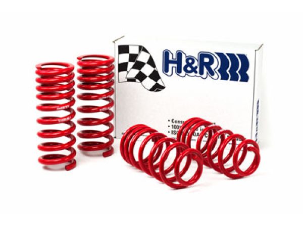 Alternative view of H&R 94-95 Ford Mustang/Mustang Cobra V8 Race Spring