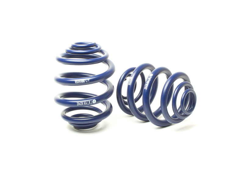 H&R 94-03 Volkswagen Eurovan T4 Sport Spring - Image 2