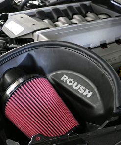 Alternative view of ROUSH 2015-2017 Ford Mustang 5.0L Cold Air Kit
