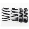 RS-R 08+ Mitsubishi Evolution X (CZ4A) Down Sus Springs