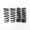 RS-R 15+ Lexus RC350 RWD (GSC10) Down Sus Springs