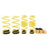 ST Adjustable Lowering Springs 2022+ Volkswagen Golf VIII GTI/R (MQB)