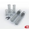 Eibach Pro-UTV 17-19 Polaris RZR XP1000 2-Seat EPS Stage 3 Performance Springs