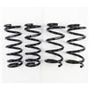 RS-R 10+ Nissan 370Z (Z34) Down Sus Springs