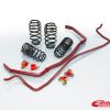 Eibach Pro-Plus Kit for 14-15 Ford Fiesta ST