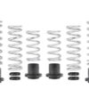 Eibach Pro-UTV 2020 Polaris RZR Pro XP Ultimate Stage 3 Performance Springs - Set of 8