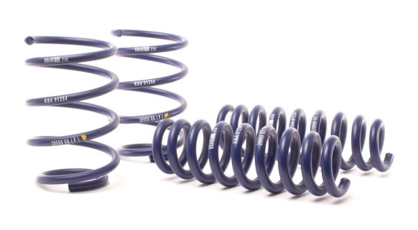 Alternative view of H&R 13-15 BMW X1 sDrive28i E84 Sport Spring (2WD Only)