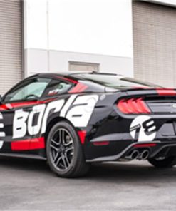 Borla 2018 Ford Mustang GT 5.0L AT/MT 2.5in S-Type Exhaust w/ Valves (Rear Section Only)