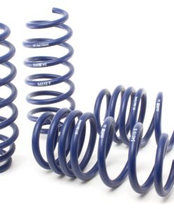 H&R 17-19 Tesla Model 3 Long Range (RWD) Sport Spring (Non Air Susp.)