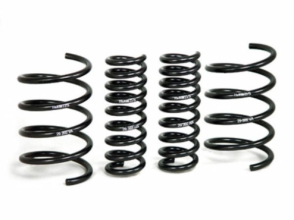 Alternative view of H&R 01-06 Mercedes-Benz C240/C320/C55 AMG W203 Sport Spring
