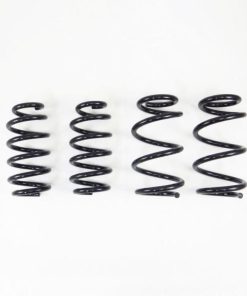 RS-R 19+ Tesla Model 3 AWD Down Sus Springs