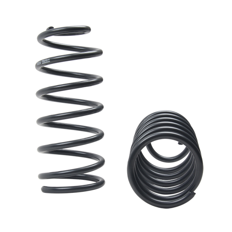 ST Muscle Car Springs Chevrolet Camaro / Pontiac Firebird - Image 2