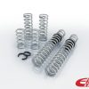 Eibach Pro-UTV 14-16 Polaris RZR XP 4 1000 EPS Stage 3 Performance Springs