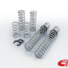 Eibach Pro-UTV 19-20 Can-Am Maverick X3 X DS Turbo R Stage 2 Performance Springs