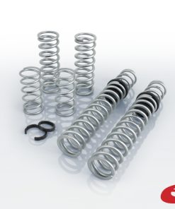 Eibach Pro-UTV 2020 Polaris RZR Pro XP (4 Seat Ultimate) Stage 3 Performance Springs