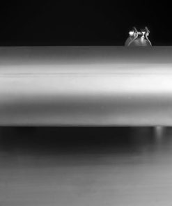 Remus 2012 BMW 3 Series F30/F31 3.0L (N55B30) Axle Back Exhaust (Tail Pipes Required)