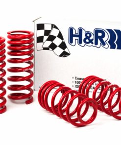 H&R 94-95 Ford Mustang/Mustang Cobra V8 Race Spring