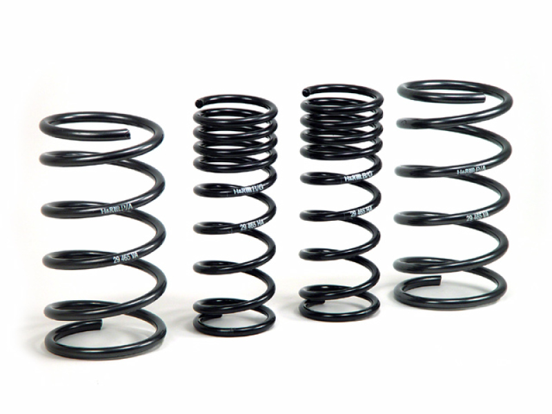 H&R 00-05 Ford Focus/Focus SVT DAW Sport Spring (Non Wagon) - Image 2