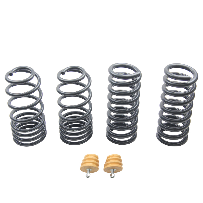 ST Sport-tech Lowering Springs Ford Mustang 3rd gen. / 4th gen. - Image 3