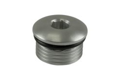 Turbosmart -10AN ORB Blank - Clear