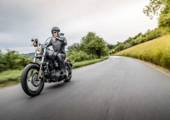Alternative view of Ohlins 91-17 Harley-Davidson Dyna FXD STX 36 Twin Shock Absorber