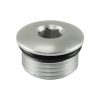 Turbosmart -12AN ORB Blank - Clear