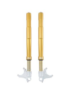 Ohlins 06-08 Ducati 1098 FGRT 200 Fork