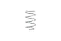 Alternative view of Eibach 15-17 Ford Mustang GT Coupe S550 Drag-Launch-Kit (Set of 4 Springs)