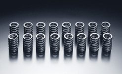 Alternative view of HKS 85-91 Toyota Corolla GTS / 85-89 MR2 Valve Spring Set