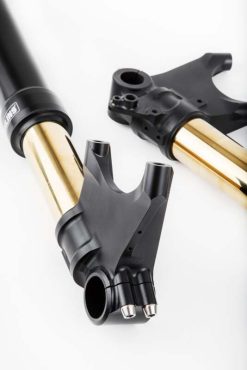 Ohlins 11-18 Ducati Diavel Custom 48 Blackline Fork - Image 6