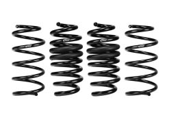 Eibach Pro-Kit for 20-23 Ford Explorer ST AWD