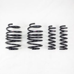 RS-R 2023+ Lexus RX350 AWD Down Sus Springs