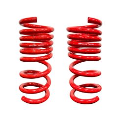 Roush 18-24 Ford Mustang GT w/ MagneRide Lowering Springs - Set of 4 - Image 4