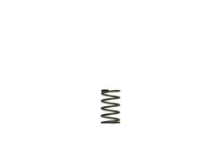 Alternative view of Turbosmart WG38/40 5psi Grey Inner Spring