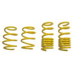 Alternative view of ST Lowering Springs Ford Mustang V8