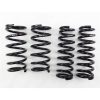 RS-R 2014-2020 Lexus IS250/350 AWD (GSE36) Down Sus Springs