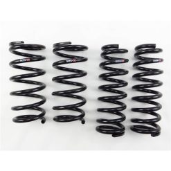 RS-R 2014-2020 Lexus IS250/350 AWD (GSE36) Down Sus Springs