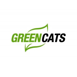 Kooks 2016+ Chevrolet Camaro SS 2x3in SS Header 3x2-3/4 GREEN Catted Conn Pipe - Image 2