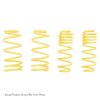 ST Muscle Car Springs Chevrolet Camaro Nova / Pontiac Firebird / Omega Ventura