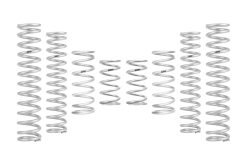 Eibach Can-Am Maverick R X RS Ultimate PRO-UTV Stage 4 Spring System (Set of 8 Springs)