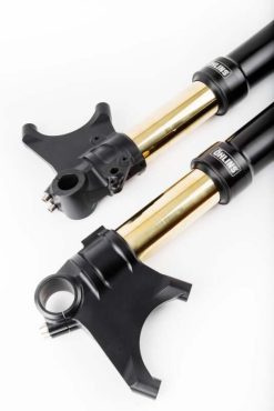 Ohlins 11-18 Ducati Diavel Custom 48 Blackline Fork - Image 3