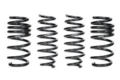 Eibach Pro-Kit EV for 24-25 Tesla Model 3 Performance AWD
